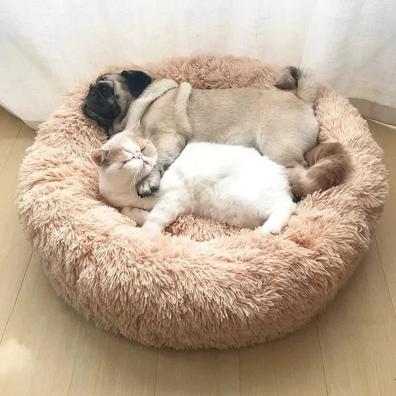 Premium Cat Bed: Breathable Soft Plush Sanctuary built for Comfort